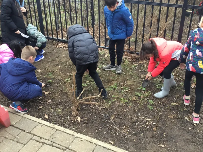 See our work in progress in this gallery! - image 33