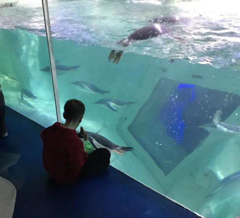 Year 5 Sealife Centre  - image 45