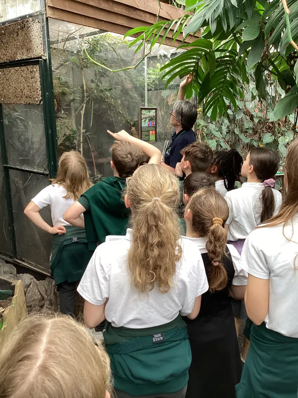 Gallery - created at 2025-03-14 10:11:21 - image 5 Gallery - created at 2025-03-14 10:11:21 - image 5