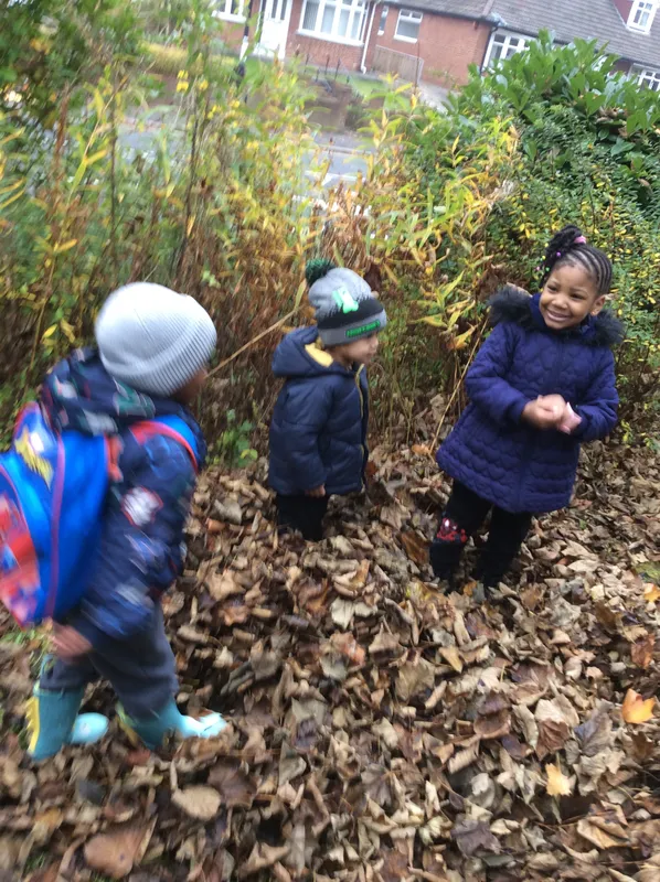 Gallery - created at 2024-11-05 15:27:50 - image 54 Gallery - created at 2024-11-05 15:27:50 - image 54