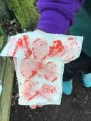 Forest School 140 - image 1 Forest School 140 - image 1