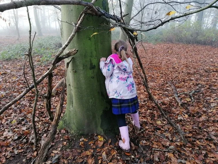 Gallery 2 - image 28