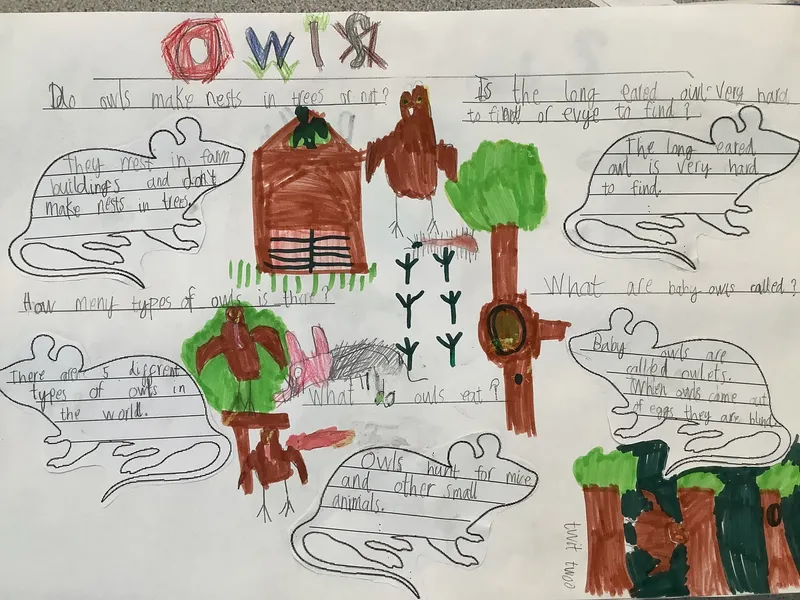 Gallery - image 5 Gallery - image 5