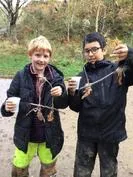 Forest School 118 - image 1 Forest School 118 - image 1
