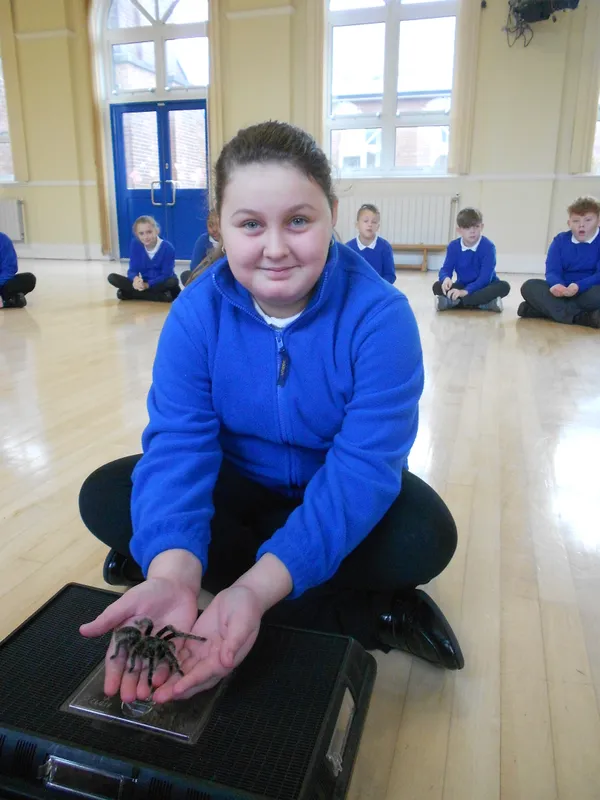 Y6 Reptile Rendezvous - image 74