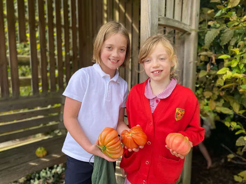 Gallery - created at 2025-09-29 13:19:20 - image 10 Gallery - created at 2025-09-29 13:19:20 - image 10