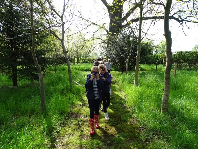 Gallery - created at 2019-06-05 14:16:12 - image 25
