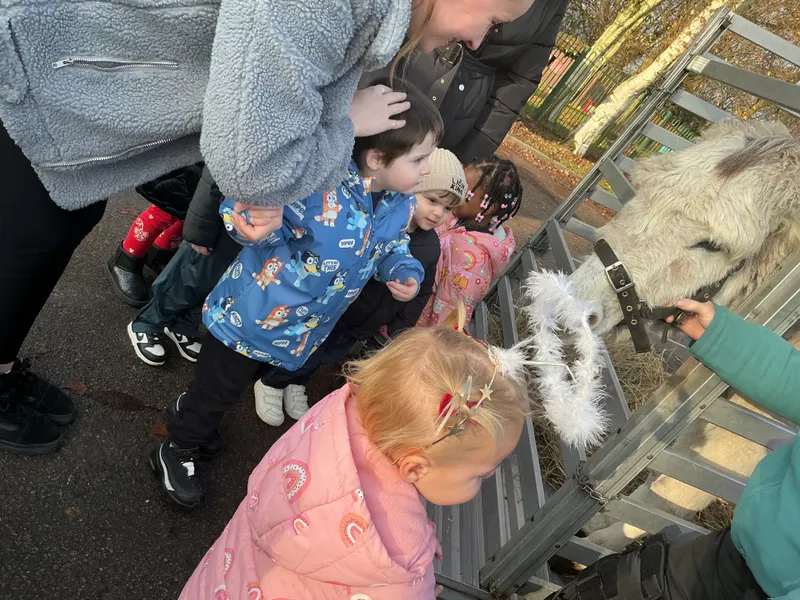 Stella farm on wheels Part 1 - image 18