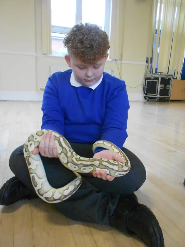 Y6 Reptile Rendezvous - image 56