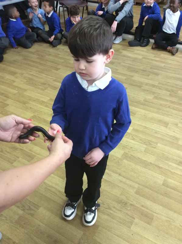 Gallery - created at 2024-03-05 13:52:56 - image 44 Gallery - created at 2024-03-05 13:52:56 - image 44