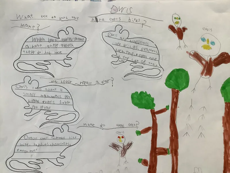 Gallery - image 2 Gallery - image 2