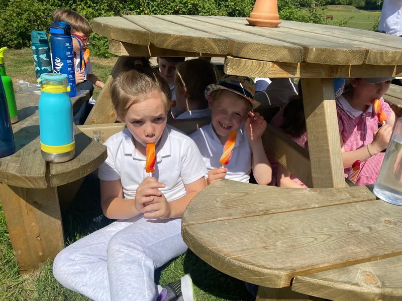 Gallery - created at 2025-05-03 18:55:25 - image 3