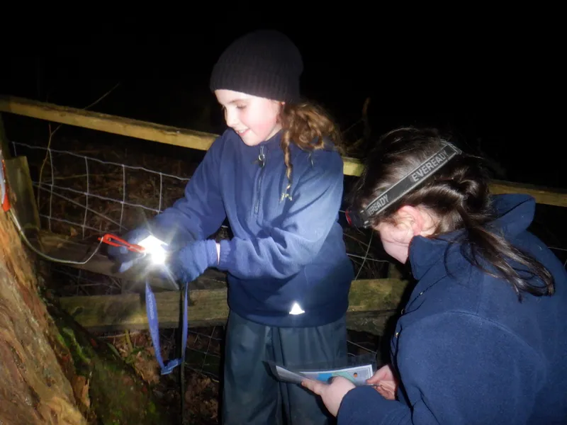 Gallery - created at 2025-02-25 21:38:38 - image 5