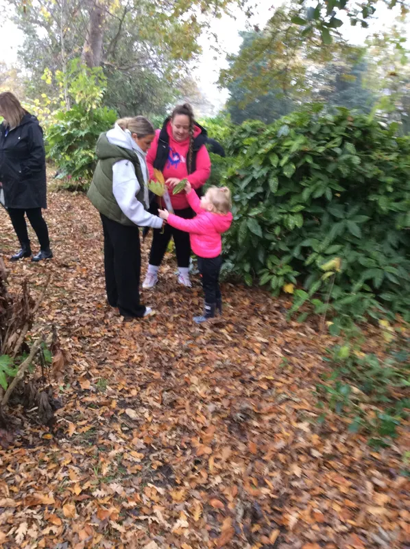 Gallery - created at 2024-11-05 15:27:50 - image 62 Gallery - created at 2024-11-05 15:27:50 - image 62