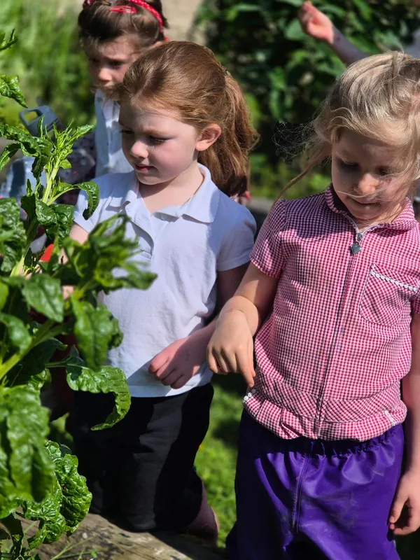 Gallery - created at 2024-05-10 11:40:23 - image 27