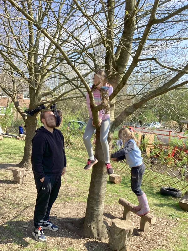 Tree Climbing - image 4