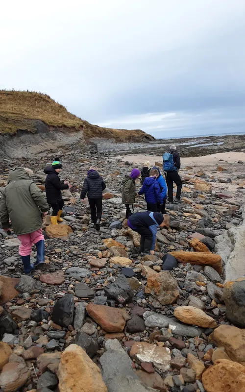 Gallery - created at 2024-10-11 14:26:20 - image 18 Gallery - created at 2024-10-11 14:26:20 - image 18