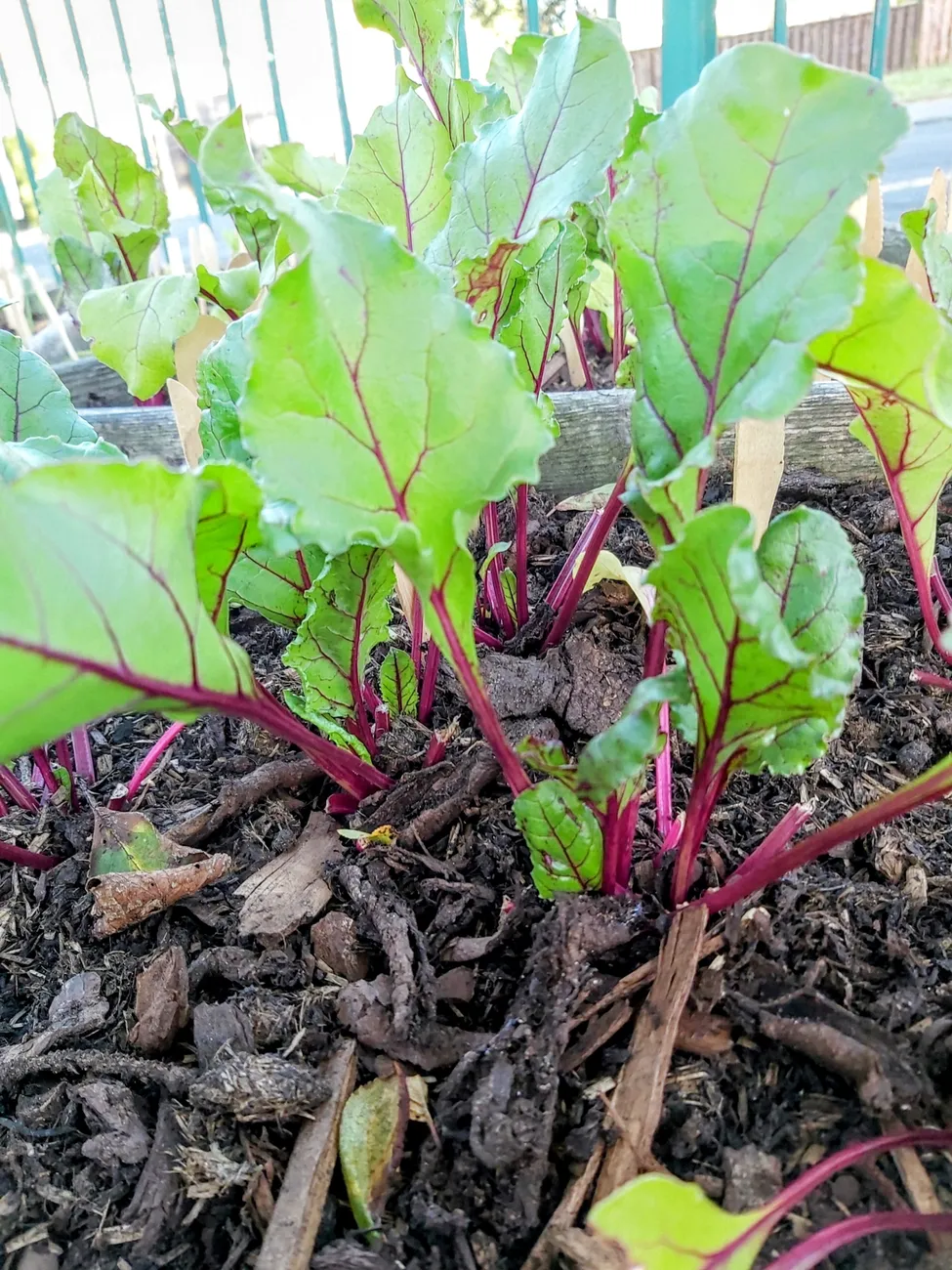 Gallery - created at 2023-09-07 16:46:06 - image 21 Gallery - created at 2023-09-07 16:46:06 - image 21