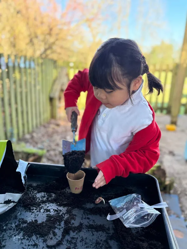 Gallery - created at 2025-03-23 10:29:25 - image 2