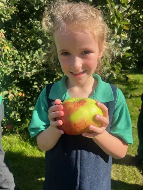 Apple Picking 2025 in Hendred House Garden - image 6