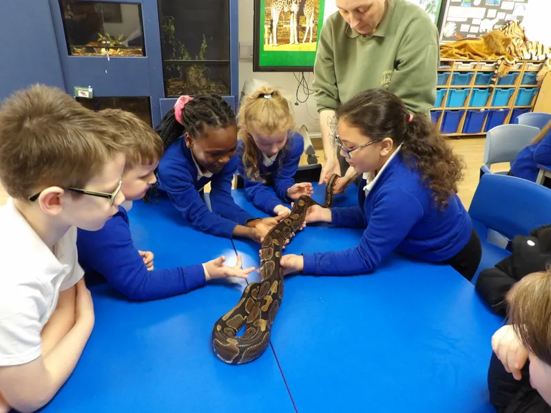 Y3 Yorkshire Wildlife Park Trip - image 58
