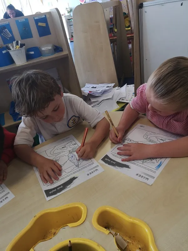 Gallery - created at 2024-09-16 22:06:41 - image 7 Gallery - created at 2024-09-16 22:06:41 - image 7