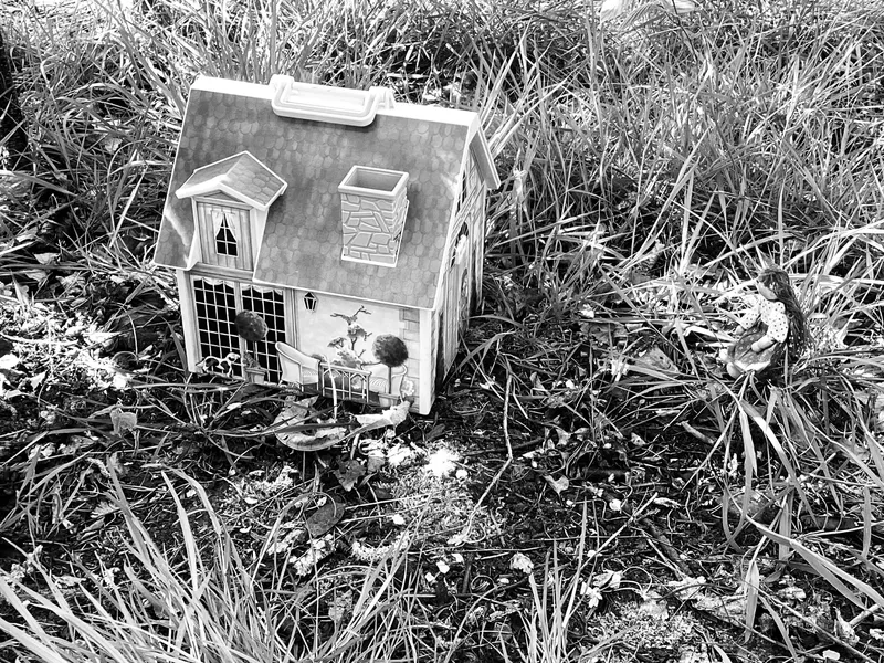 KW T4W Sum1 - image 2