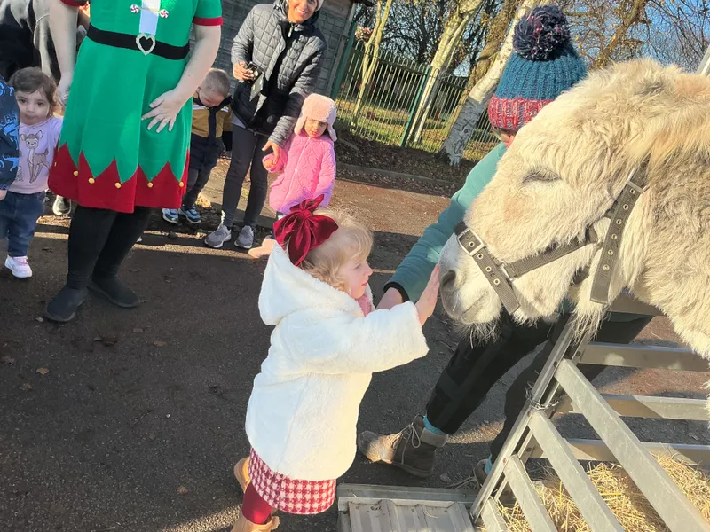 Explorers with Stella on Wheels  - image 29