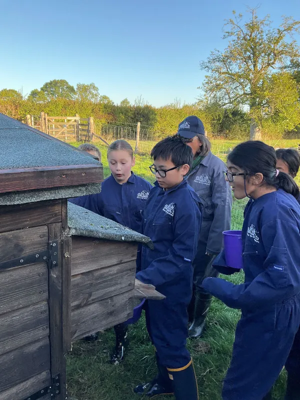 Farm Trip 2025 - image 10