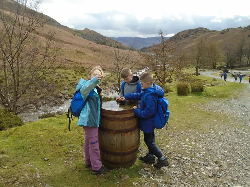 Gallery - image 31