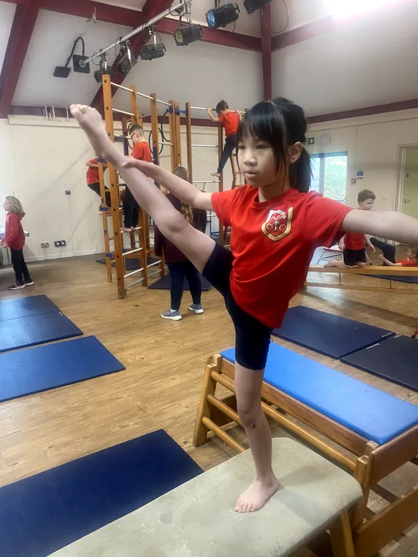 Term 3 - image 27 Term 3 - image 27