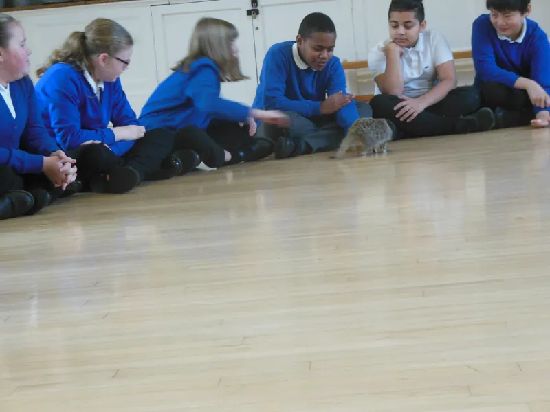 Y6 Reptile Rendezvous - image 19