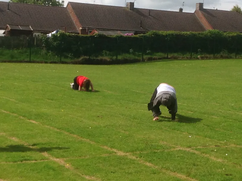 Gallery - created at 2021-06-11 14:15:06 - image 14