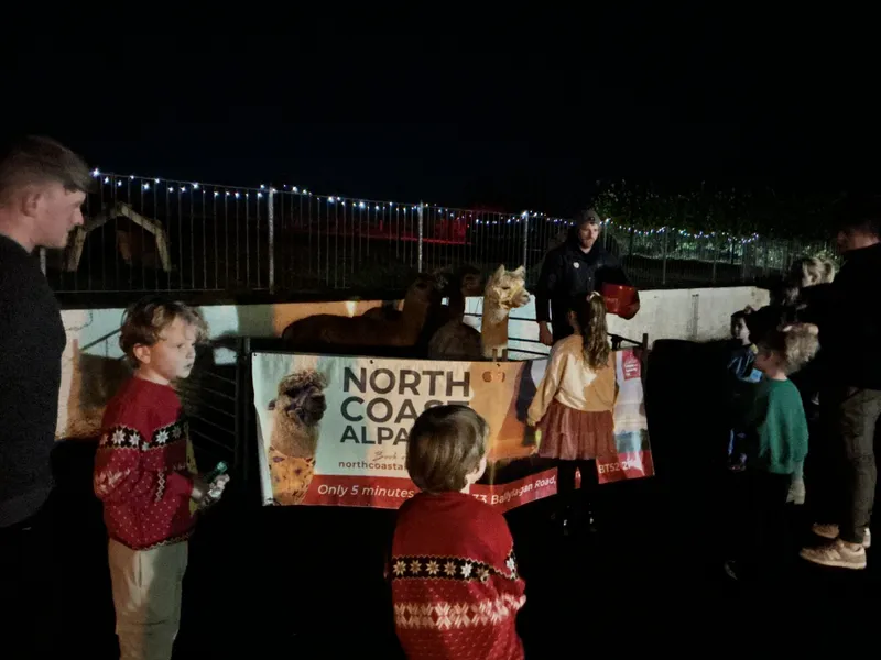 Christmas Fair 2025 - image 9 Christmas Fair 2025 - image 9