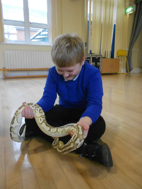 Y6 Reptile Rendezvous - image 57