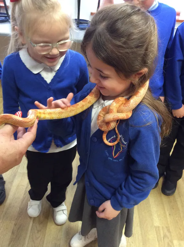 Gallery - created at 2024-02-26 17:15:57 - image 55 Gallery - created at 2024-02-26 17:15:57 - image 55