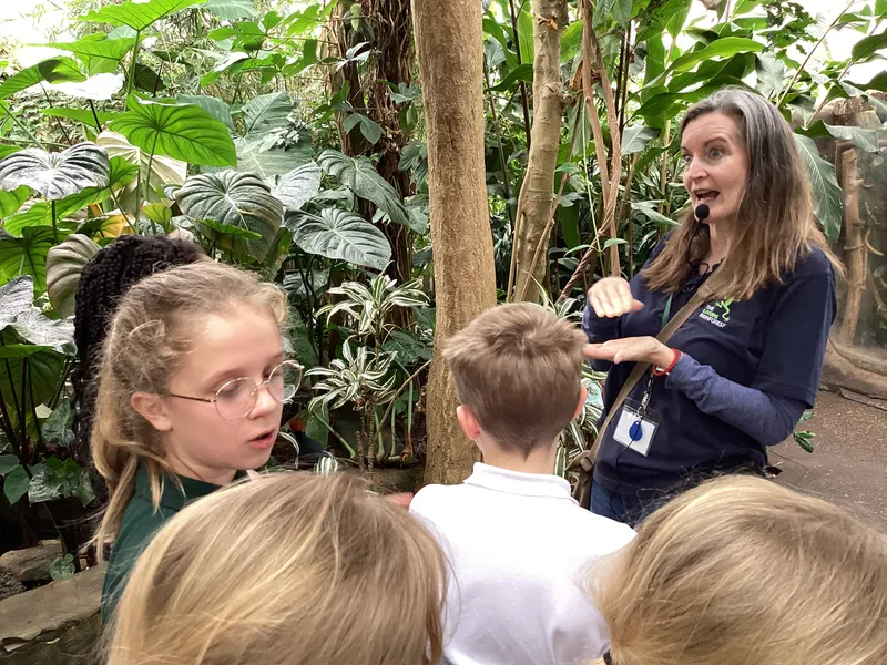 Gallery - created at 2025-03-14 10:11:21 - image 27 Gallery - created at 2025-03-14 10:11:21 - image 27