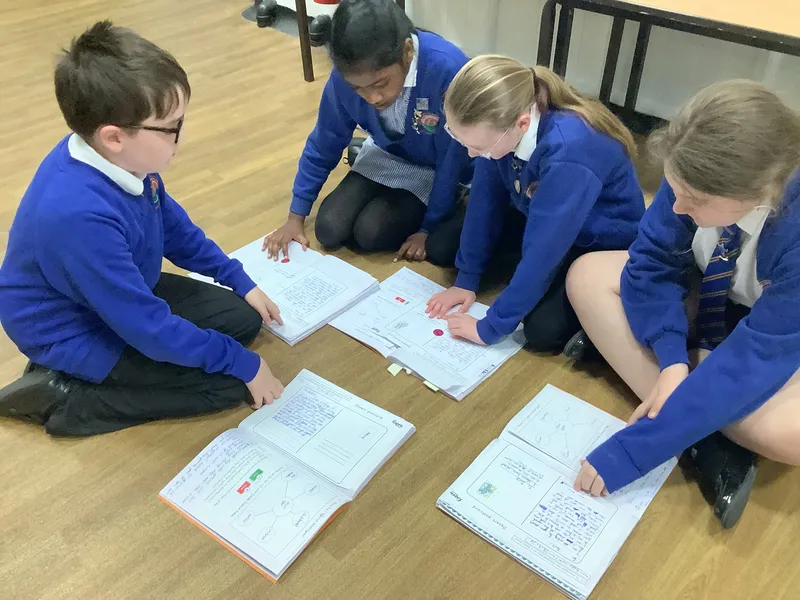 Y5 Geo May - image 3