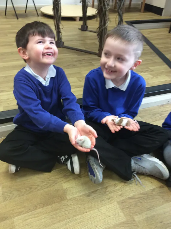 Gallery - created at 2024-03-05 13:52:56 - image 68 Gallery - created at 2024-03-05 13:52:56 - image 68