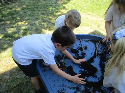 Planting - image 51