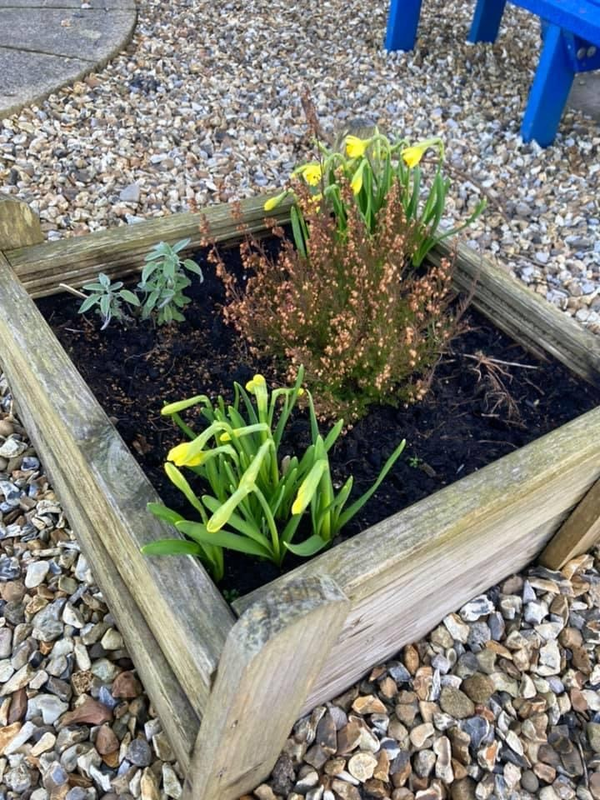 Signs of Spring in the Class 4 garden.