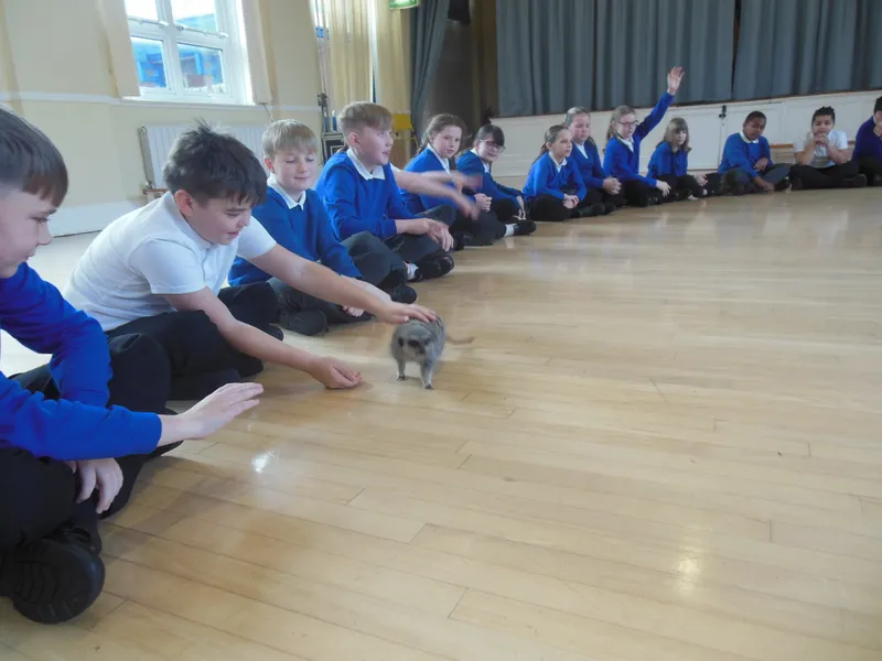 Y6 Reptile Rendezvous - image 23