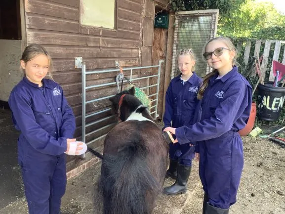 Farm 2025 - Gallery 3 - image 34