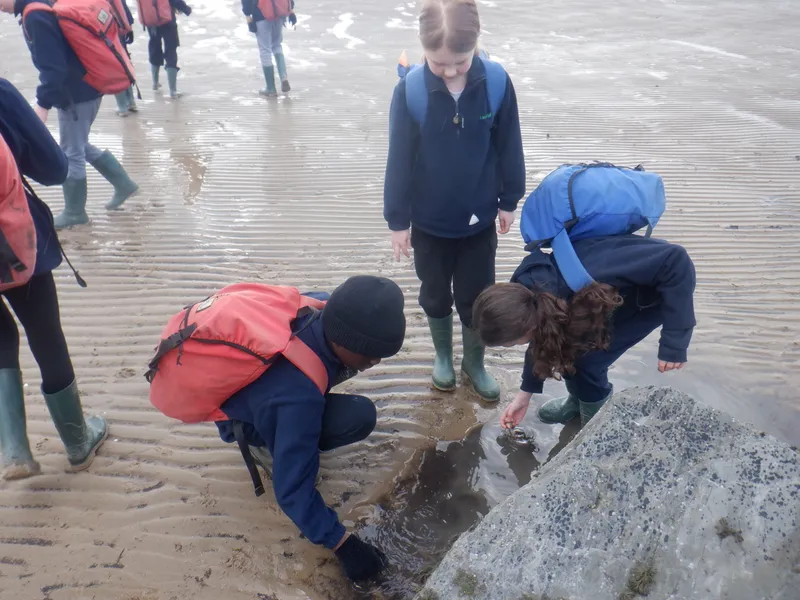 Gallery - created at 2025-02-27 19:57:56 - image 51