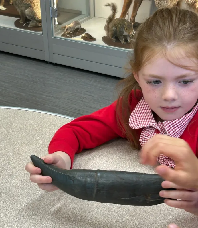 Gallery - created at 2025-05-15 20:19:39 - image 4