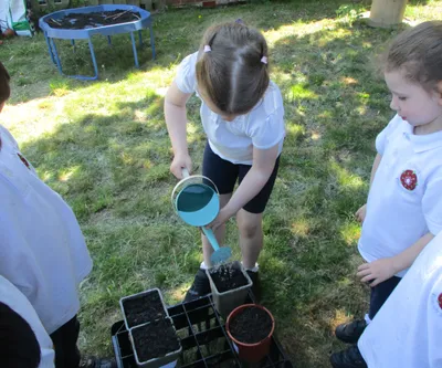 Planting - image 35