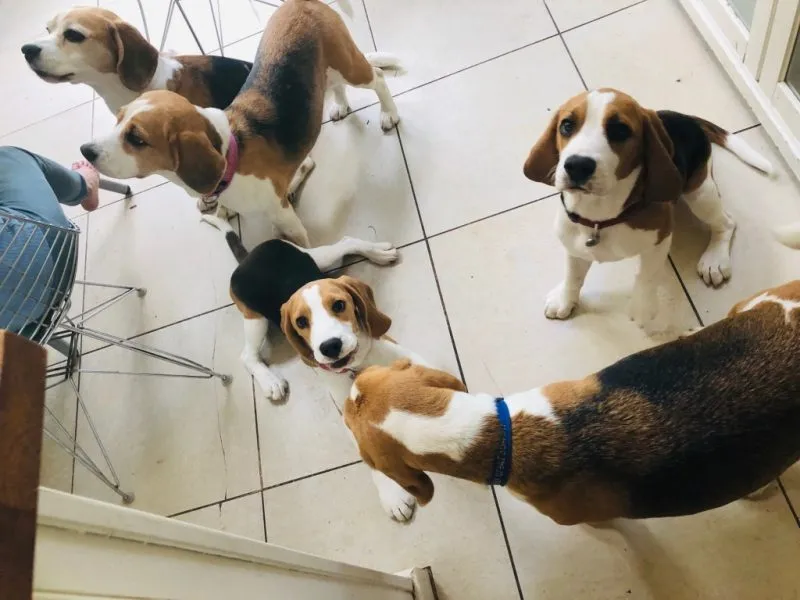 Our School - Bella 9 - image 2