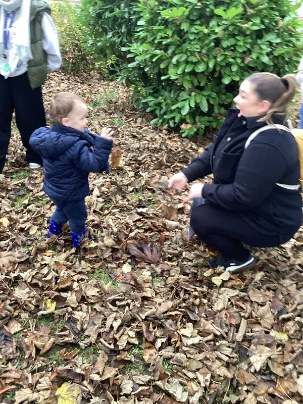 Gallery - created at 2024-11-08 10:10:59 - image 35 Gallery - created at 2024-11-08 10:10:59 - image 35