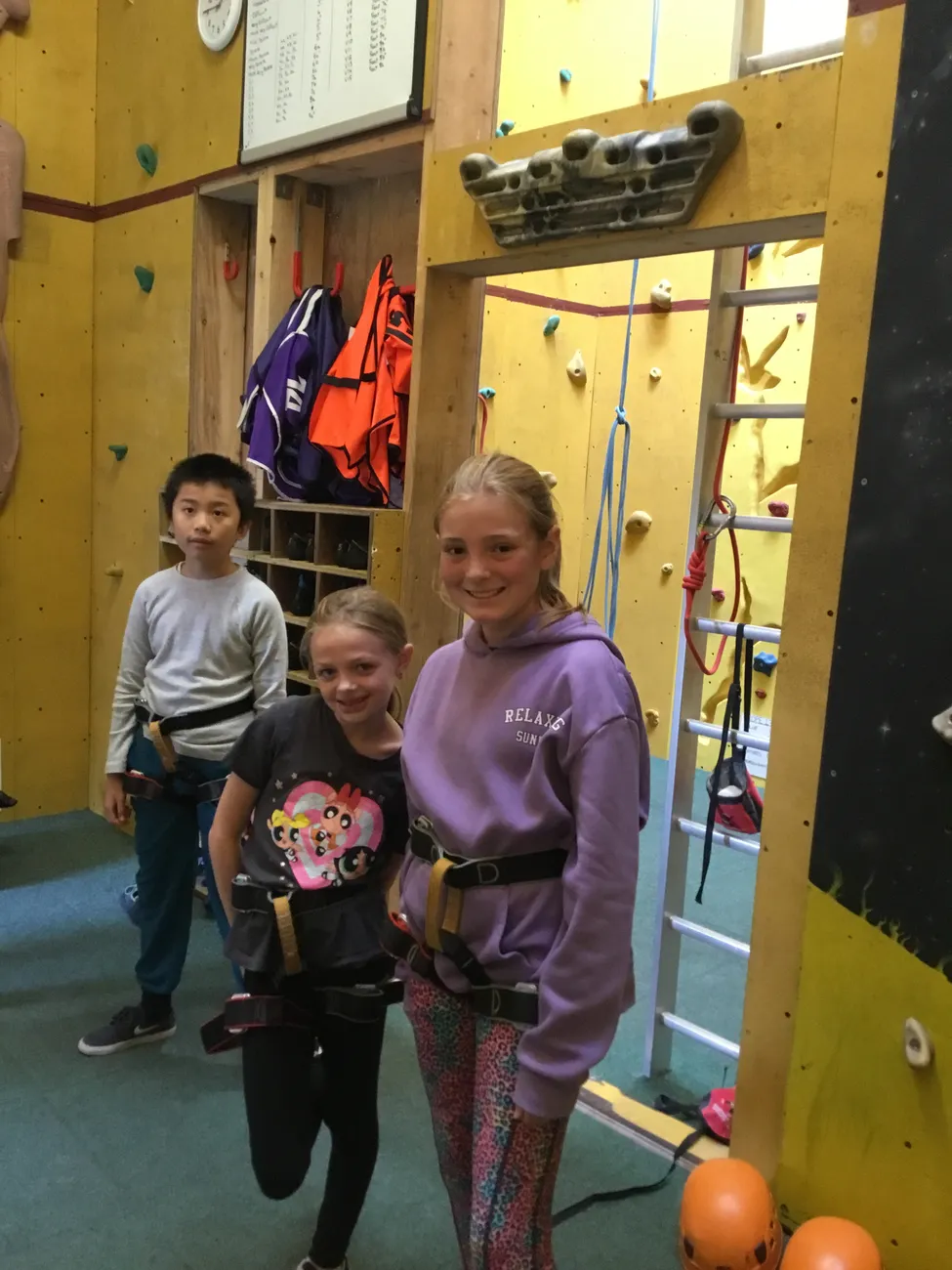 Gallery - created at 2024-09-19 19:48:04 - image 17 Gallery - created at 2024-09-19 19:48:04 - image 17