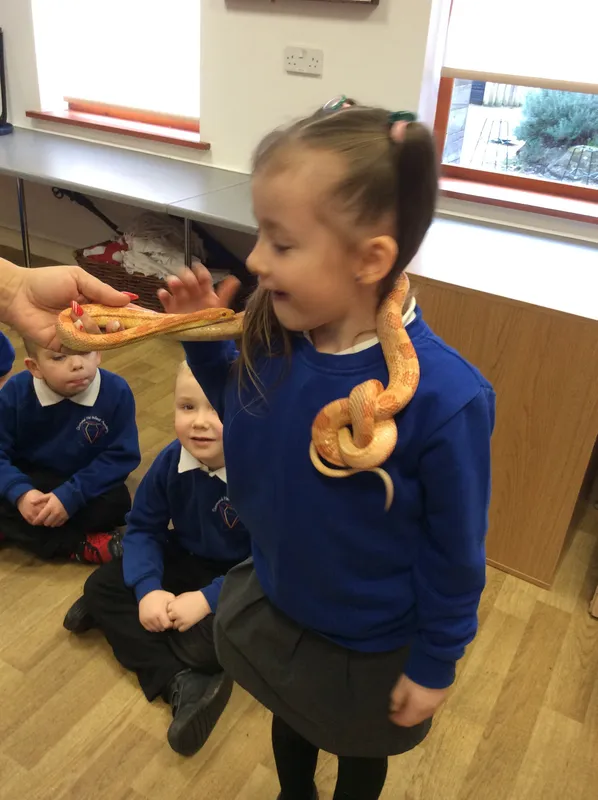 Gallery - created at 2024-02-26 17:15:57 - image 42 Gallery - created at 2024-02-26 17:15:57 - image 42